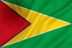 Vlag Guyana - 100x150cm Spun-Poly